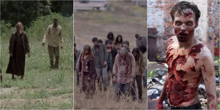 15 Secrets You Never Knew About The Walking Dead Zombies 15 Secrets You Never Knew About The Walking Dead Zombies
